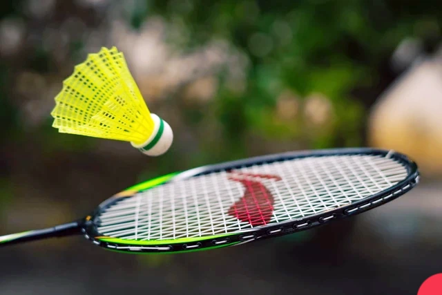 olahraga paling populer di indonesia selain sepak bola adalah